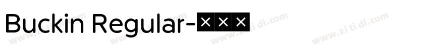Buckin Regular字体转换